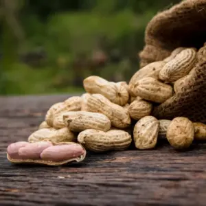 Ground Nuts